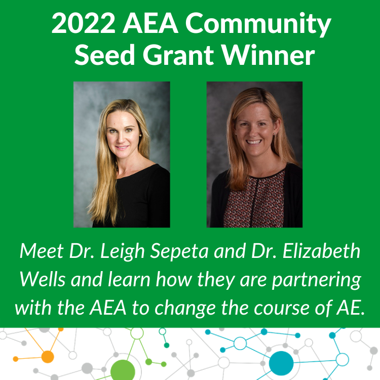 AEA Community Seed Grant Recipients